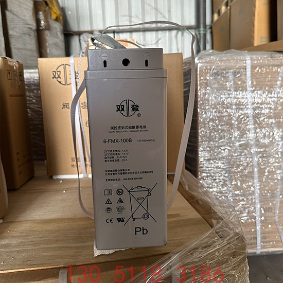 双登12V100AH