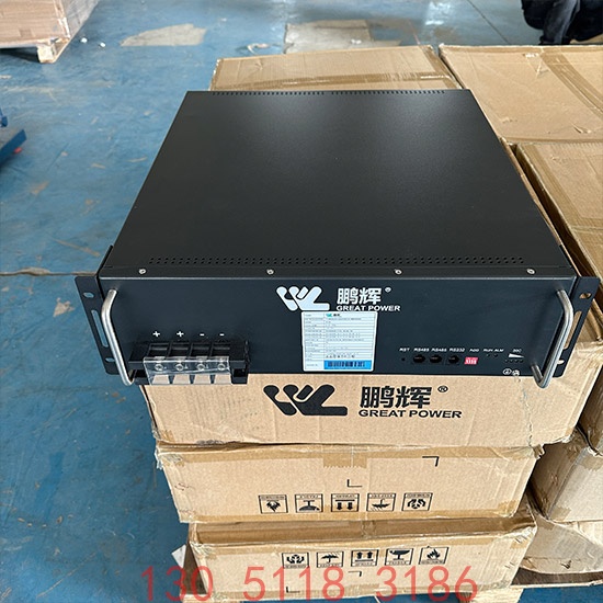 鹏辉48100锂电