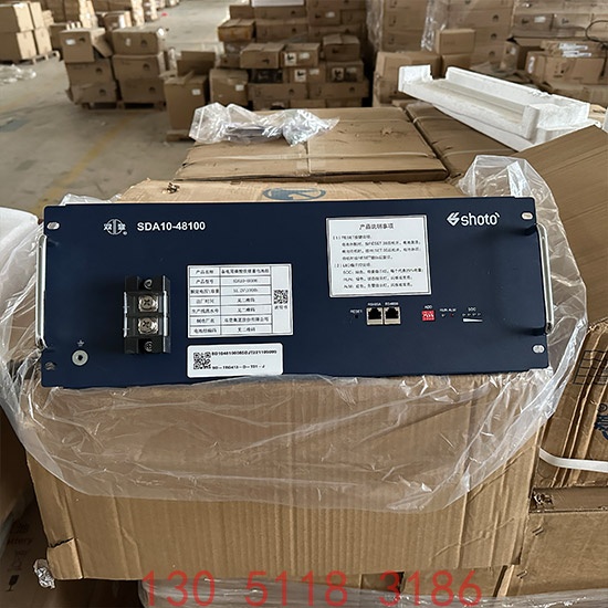 双登48100锂电